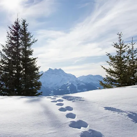 Le Mont Blanc 8 By Interhome Apartament Villars-sur-Ollon