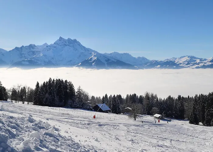 Le Mont Blanc 8 By Interhome Villars-sur-Ollon