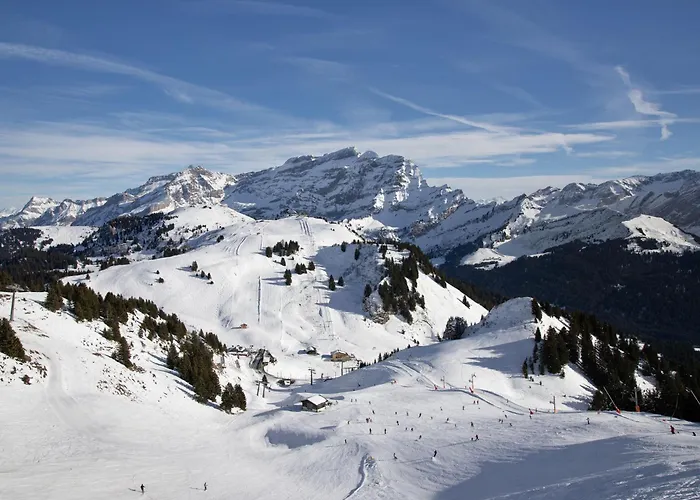 Apartament Le Mont Blanc 8 By Interhome Villars-sur-Ollon