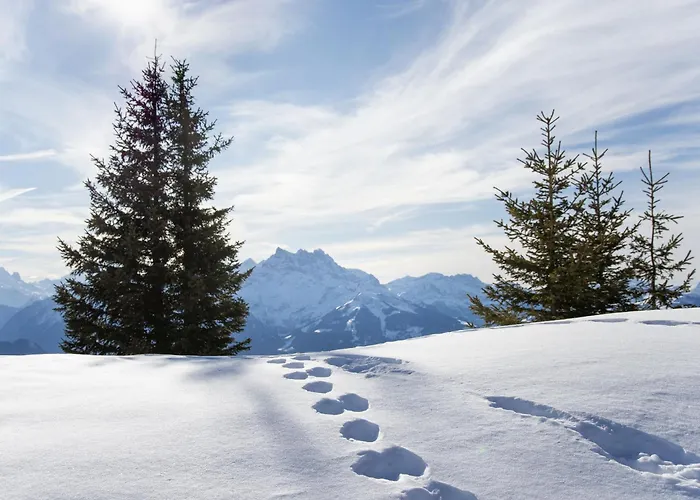 Le Mont Blanc 8 By Interhome Apartament Villars-sur-Ollon